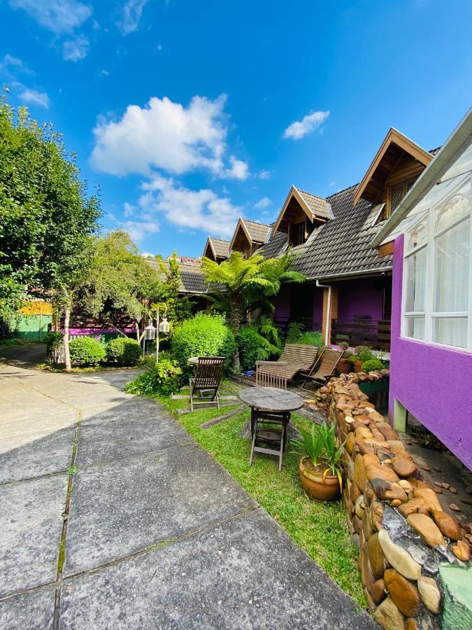 Apartamento Vila Das Orquideas